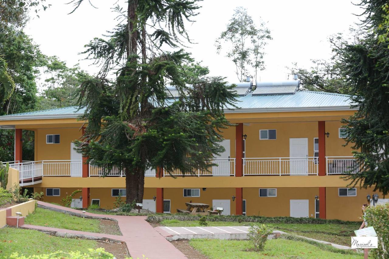 Hotel Villa Florencia Turrialba Bagian luar foto